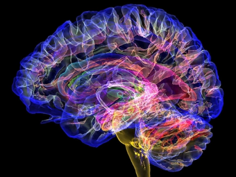 内射无码在线视频大脑植入物有助于严重头部损伤恢复